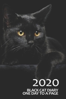 Black Cat Diary: One Day to a Page 1517231582 Book Cover