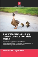 Controlo biológico da mosca branca Bemisia tabaci: Isolamento e identificação de fungos entomopatogénicos, predadores e parasitóides e controlo biológico da mosca branca (Portuguese Edition) 6206838234 Book Cover