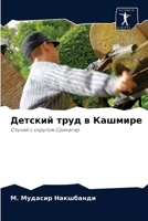 Nakshbandi:Detskij trud w Kashmire 6202830980 Book Cover
