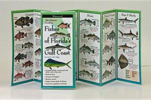 The Ultimate Guide to Fishes of Florida's Gulf Coast 1893770141 Book Cover