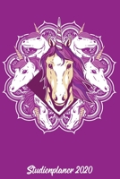 Studienplaner 2020: Kalender DIN A5 2020 1 Tag = 1 Seite mit gro�em Tagesplaner und gro�artiger �bersicht. Monats�bersicht, Erinnerung und Notizen in diesem Kalenderbuch. Einhorn Mandala Einhorn fans 167765483X Book Cover