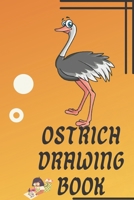 Ostrich Drawing Book : Birds Drawing Book : Bird Sketch Book: Ostrich Drawing Book : Birds Drawing Book : Drawing Book For Kids : Drawing Book For Kids 7 Years : Animal Drawing Book B09TF1KR9T Book Cover