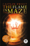 The Flame in the Maze 1771483261 Book Cover