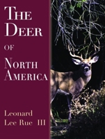 Doom in the Deep: An Extraordinary Storm, a Miraculous Survival 1592284663 Book Cover