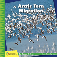 Arctic Tern Migration 1534170251 Book Cover