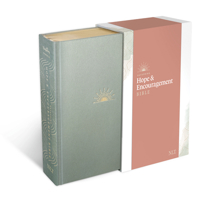 NLT Dayspring Hope & Encouragement Bible (Hardcover Deluxe, Seafoam Green) 1496452976 Book Cover