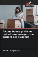 Alcune buone pratiche nel settore energetico e opzioni per l'Uganda (Italian Edition) 6206519821 Book Cover
