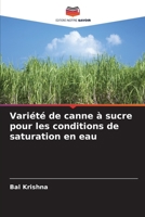 Variété de canne à sucre pour les conditions de saturation en eau 620567601X Book Cover