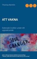 Att vakna: Daterade insikter under ett uppvaknande 9176992012 Book Cover