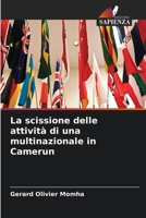La scissione delle attività di una multinazionale in Camerun (Italian Edition) 6630411374 Book Cover