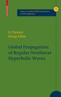 Quasilinear Hyperbolic Systems 0817642447 Book Cover