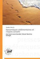 Dynamiques sédimentaires et risques actuels: Axe Saint-Louis-Gandiol, littoral Nord du Sénégal (Omn.Pres.Franc.) 3841623263 Book Cover