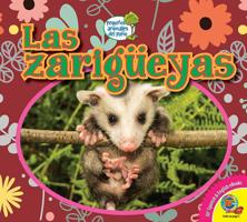 Las Zarigüeyas (Pequeños Animales del Patio) 1791101895 Book Cover