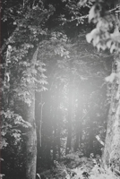 Venomous B08C9C5DXP Book Cover