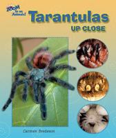 Tarantulas Up Close 1598454218 Book Cover