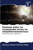 Влияние работ по сохране 6207021975 Book Cover