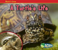 A Turtle's Life 143294231X Book Cover