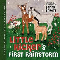 Little Kicker's First Rainstorm 0984395628 Book Cover