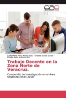 Trabajo Decente en la Zona Norte de Veracruz. 620002135X Book Cover