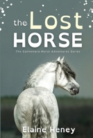 The Lost Horse - Dyslexia Friendly (Connemara Horse Adventure) 1917234236 Book Cover