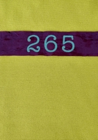 2-6-5 Two weeks, six months, five years.... A map to travel by: turquoise edition 1471658686 Book Cover