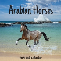 Arabian Horses 2021 Wall Calendar: Arabian Horses Calendar 2021, 18 Months B08PQMV2GY Book Cover