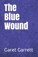 The Blue Wound: Who and What Really Started World War One 101727861X Book Cover