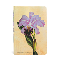 Brazilian Orchid Journal: Lined Mini 1439735727 Book Cover