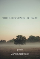 The Illusiveness of Gray 1954353367 Book Cover