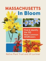 Massachusetts in Bloom: Find and Identify the 150 Most Common Wildflowers 164326589X Book Cover