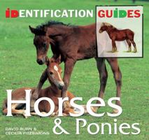 Horses & Ponies: Identification Guide 1847861857 Book Cover