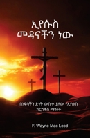 Jesus Our Salvation - Amharic Edition: በነፍሳችን ድነት ውስጥ ያለው &# 1927998999 Book Cover