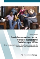 Sozialraumorientierte, flexibel geleistete Erziehungshilfen: Zwei Konzepte in einem Handlungsansatz und die Einstellung der Adressaten dazu 3639423917 Book Cover