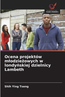 Ocena projektów mlodziezowych w londynskiej dzielnicy Lambeth (Polish Edition) 6208640075 Book Cover
