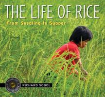 The Life of Rice: From Seedling to Supper 076363252X Book Cover