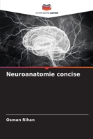 Neuroanatomie concise (French Edition) 6200235457 Book Cover