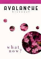 Avalanche Biannual: Issue Four 1678089397 Book Cover