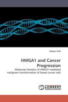 HMGA1 and Cancer Progression 3838315065 Book Cover