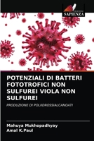 POTENZIALI DI BATTERI FOTOTROFICI NON SULFUREI VIOLA NON SULFUREI: PRODUZIONE DI POLIIDROSSIALCANOATI 6202882689 Book Cover