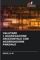 Valutare l'Aggregazione Orizzontale Con Aggregazione Parziale 6204113232 Book Cover