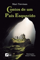 Contos de um país esquecido (Portuguese Edition) B0DRYZTLTY Book Cover