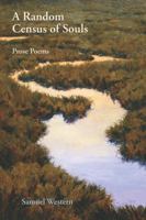 A Random Census of Souls 1564744787 Book Cover