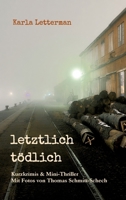 letztlich tödlich: Kurzkrimis und Mini-Thriller 3347047931 Book Cover