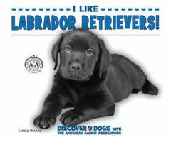 I Like Labrador Retrievers! 0766038483 Book Cover