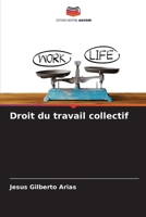 Droit du travail collectif (French Edition) 6206666425 Book Cover