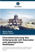 Charakterisierung des Untergrunds mit Georadar und geologischen Methoden (German Edition) 6207042727 Book Cover