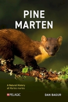 Pine Marten: The Secret Life of Martes Martes 1784274275 Book Cover