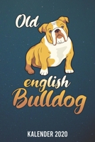 Kalender 2020: Old English Bulldog A5 Kalender Planer für ein erfolgreiches Jahr - 110 Seiten (German Edition) 1672977576 Book Cover