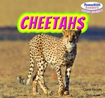 Cheetahs 1448874645 Book Cover