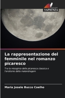 La rappresentazione del femminile nel romanzo picaresco 6209154409 Book Cover